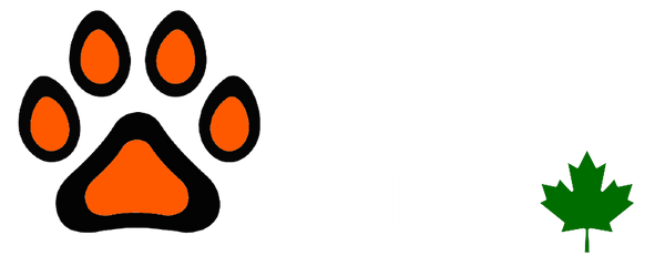 GameShirts